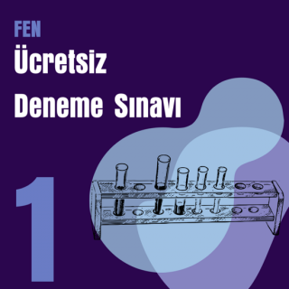 Ücretsiz e-YÖKDİL Fen Denemesi