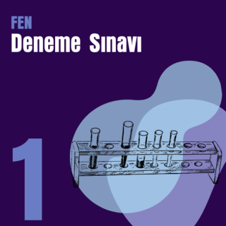 1. e-YÖKDİL Fen Denemesi