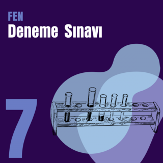 7. e-YÖKDİL Fen Denemesi