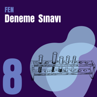 8. e-YÖKDİL Fen Denemesi