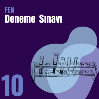 10. e-YÖKDİL Fen Denemesi