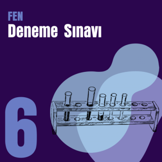 6. e-YÖKDİL Fen Denemesi