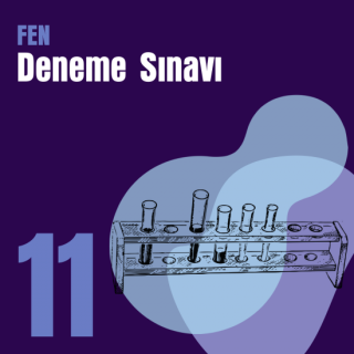 11. e-YÖKDİL Fen Denemesi