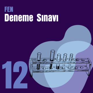 12. e-YÖKDİL Fen Denemesi