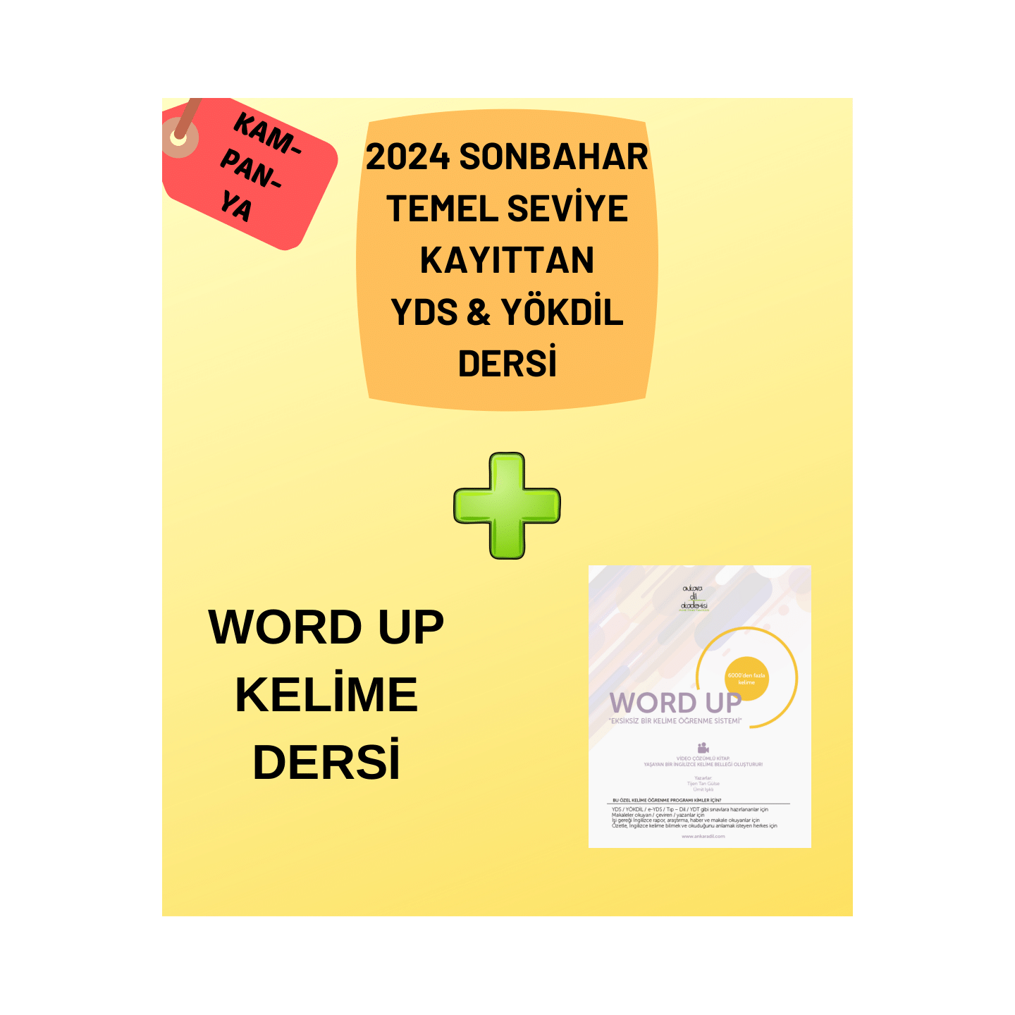 2024 Sonbahar Temel Seviye Kayıttan YDS & YÖKDİL Dersi + WORD UP