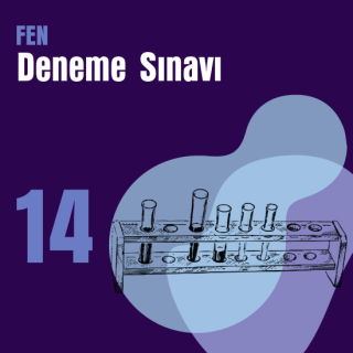 14. e-YÖKDİL Fen Denemesi